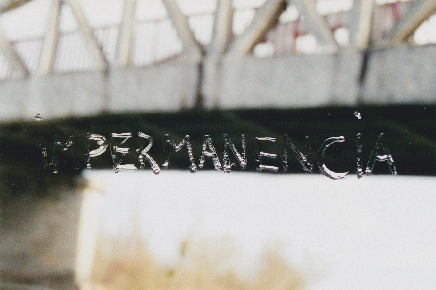 Natalia Blanch, Impermanencia-Impermanence