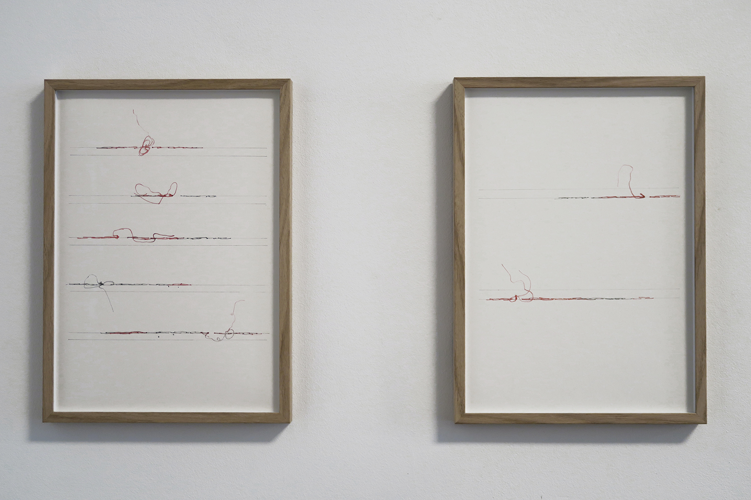 Natalia Blanch, Vaste de mille-et-mille mailles exhibition