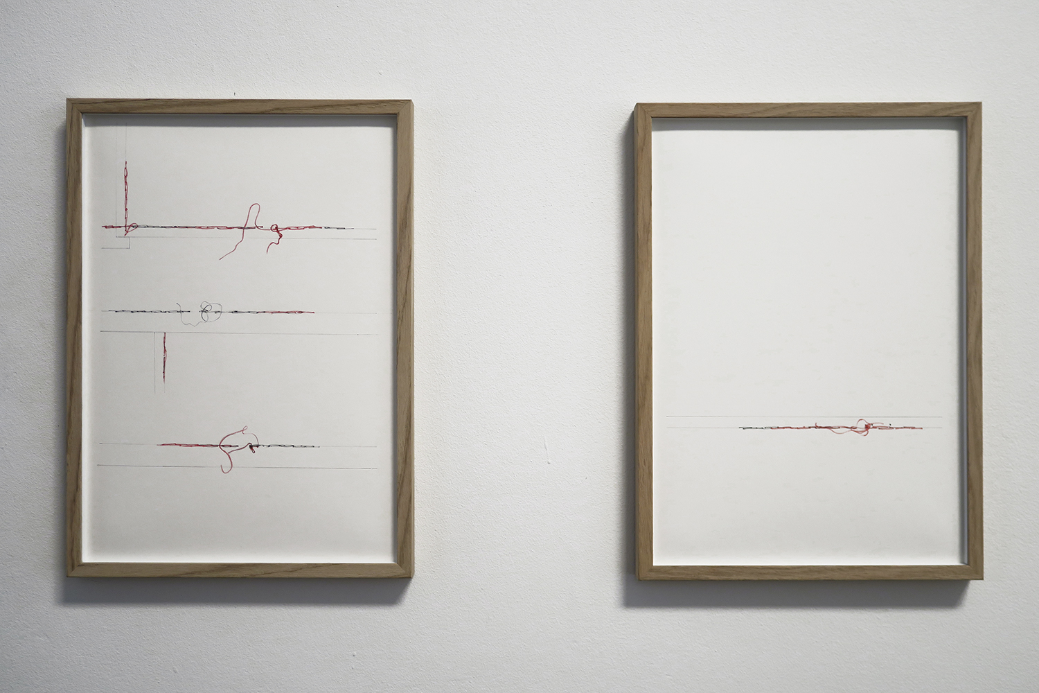 Natalia Blanch, Vaste de mille-et-mille mailles exhibition